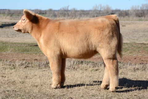 1182E-DeRon-—-FPC_5390