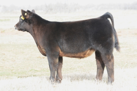 161-DeRon-—-FPC_4699