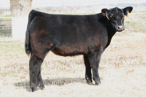 196-DeRon-1-—-FPC_5541