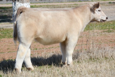 L38_April