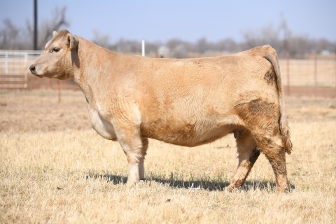 LOT-6