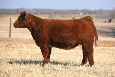 LOT-10