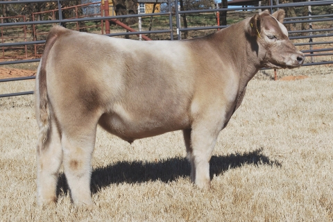 Lot 3: 124