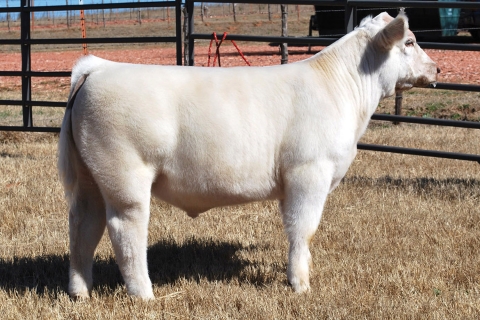 Lot 2: 30R